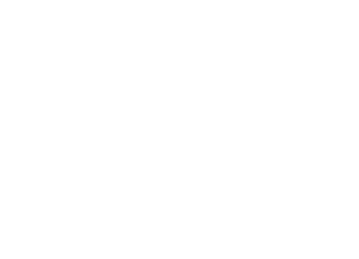 Stratum Risk Management Logo